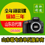 Nikon/尼康 D5500单机/机身 数码单反相机 新品首发 正品行货