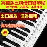 特价送黑键贴88键 61键透明五线谱简谱琴键贴纸钢琴 电子琴键盘贴