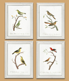 卡米拉原创美式乡村花鸟画框米白色自然系包邮微复古怀旧实木边框