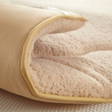 保暖褥子1.6*2.0米床垫1.35米帅琳定制床垫羊羔绒床垫加厚床护垫