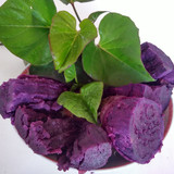 山东特产新鲜生紫薯 有机红薯紫番薯紫地瓜 紫心紫薯 农家自种5斤