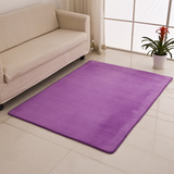 特价加厚水洗珊瑚绒地毯客厅卧室地毯床边满铺地毯门垫可定制