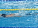 成人游泳课 北京 男教练私教课  一对一