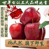 甘肃天水花牛新鲜苹果水果现发 礼县特产农产品苹果促销5斤包邮
