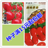 樱桃番茄种子 圣女果种子 珍珠番茄种子 小番茄种子 10G