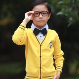琥珀寻2016秋装新款韩版儿童中大童男童针织衫开衫毛衣假两件外套