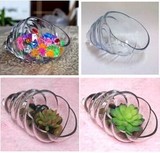 批发创意玻璃透明水培花瓶 海螺造型 多肉花盆室内花卉盆栽瓶
