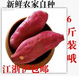 新鲜红薯农家自种粉甜生地瓜红黄白心山芋有机板栗番薯6斤装批发