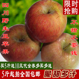 四川雅安野生苹果 现摘新鲜丑苹果 脆甜 5斤起拍 全国多省包邮