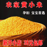 小黄米 新米农家月子米小米 黄小米 宝宝米特价250g小米 农产品