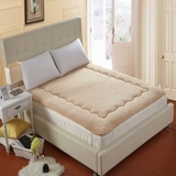 新品欧式美式全棉羊羔绒加厚床垫单人双人可折叠床褥子地板垫