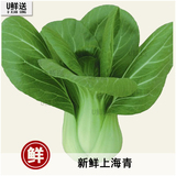 新鲜蔬菜上海青新品同城配送专业生鲜配送大促你有价我们有量