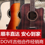 Dove鸽子民谣单板吉他40寸41寸DD260S纪念版缺角单板木吉它guitar