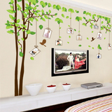 除客厅电视背景墙装饰品贴画超大照片树墙贴卧室房间创意贴纸可移
