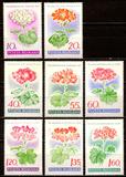DJ 罗马尼亚 1968 珍稀植物 花卉 天竺葵 8全新 拍4件给方连