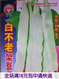 蔬菜种子 架芸豆角 四季豆 白不老 庭院阳台种菜肉厚好吃 15克/代