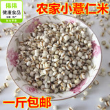 新货贵州优质农家小粒薏米薏仁米苡仁米五谷杂粮500g