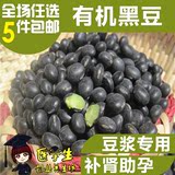 绿心大黑豆 三豆饮农家自产绿芯黑豆新货500g【大学生创业