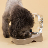 座式宠物自动饮水机狗狗饮水器猫咪泰迪喂水狗碗中小型犬猫喝水碗