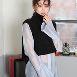 韩国代购春夏女人味气质微透透视百褶喇叭袖衬衣长袖衬衫
