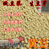 山东农家自种非转基因黄豆豆浆发豆芽专用小粒黄豆有机杂粮250克