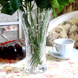 包邮 典雅兰花透明玻璃花瓶加厚 富贵竹精选插花花瓶水培花瓶