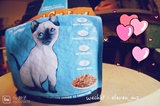 宅猫酱 泰国原装进口猫粮 Seakingdom皇室幼猫猫粮 天然粮猫主粮