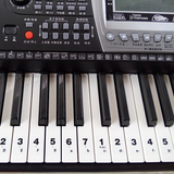 电子琴键盘贴简谱贴位置贴 电子琴电钢琴手卷钢琴数字键位贴