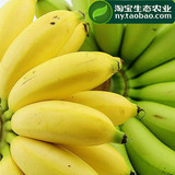 广西现摘新鲜香蕉小米蕉 无催熟剂无公害皇帝粉蕉越南西贡芭蕉6斤