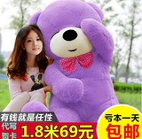 超大号毛绒玩具泰迪熊 抱抱熊布娃娃公仔生日礼物送女孩结婚礼品