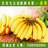 香蕉 新鲜香蕉 家常水果 新鲜水果  明竹农贸水果 500g同城配送