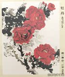 自油自画diy数字油画特价包邮丙烯亚麻布有框40x50花卉植物 牡丹