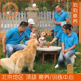 私家宠物顾问|狗狗寄养 宠物寄养 家庭式寄宿服务一天 单天  北京