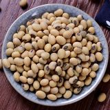 云南农家自种小黄豆发芽豆浆专用黄豆非转基因纯天然笨黄豆土500g