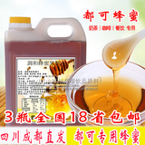 蜂蜜果糖浆 蜂蜜3KG 都可专用蜂蜜 台湾进口 奶茶原料专用 批发
