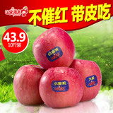 【山果演义】河南灵宝高山红富士新鲜水果苹果10斤实惠装特价