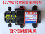 12v水泵 电动喷雾器隔膜泵微型洗车泵家用220v 高压自吸泵包邮