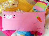 韩国儿童成人通用荞麦枕 卡通可爱立体造型枕套 进口彩色亲子枕头