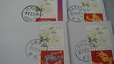 壬辰年龙生肖图百合花个性化邮票实寄自然封双龙字日戳1枚D8-9