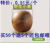 【特价促销】 广西特产桂林永福野生罗汉果花茶散装批发50个包邮