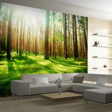 3D立体风景大型壁画绿色森林阳光 客厅电视沙发背景墙纸壁纸 特价