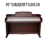 吟飞电钢琴TG8828 TG-8828  88键重锤电子数码钢琴电钢