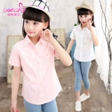 夏季韩版女童短袖衬衣纯色棉混纺布儿童翻领尖领B类新款大童衬衫