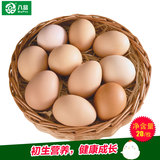 八品 珍珠土鸡蛋农家新鲜山林自养散养仔鸡早餐小蛋20枚包邮