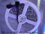 LED双色5050自然白12V裸板灯带5630白+暖白调光调色灯条300珠5米