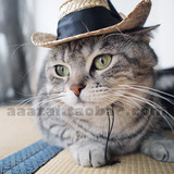 ●再● 纯手工编织帅气宠物草帽 猫狗帽子 可爱牛仔帽 复古礼帽