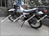 嘉陵大白菜150CC 越野摩托车 白菜竞技版 特价  支持改装