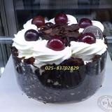南京蛋糕店 南京蛋糕速递 巴黎贝甜生日蛋糕经典黑森林蛋糕800克