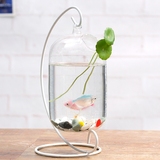 创意鱼缸 玻璃花瓶摆件 现代简约 客厅水培透明容器 悬挂冬瓜花瓶