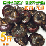 【天天特价】广西特产农家产品荔浦马蹄 荸荠有机新鲜水果甜脆5斤